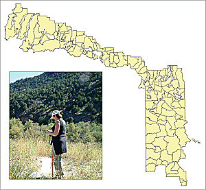 The Rangeland Allotment data layer helps foresters understand land use.