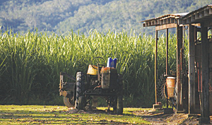 Technology has come a long way for sugarcane farmers in the Herbert River catchment basin.