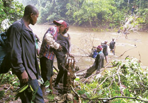 Congo Basin Gets Community-Built National Park