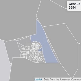 Location insight by voting district