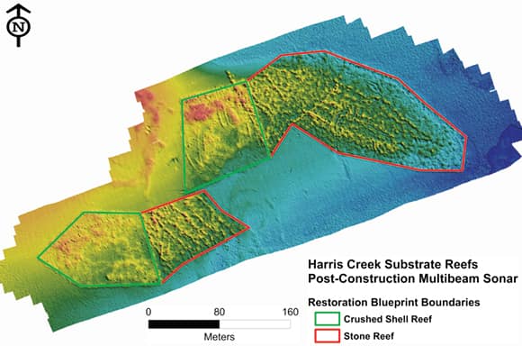 A digital surface model shows new reefs
