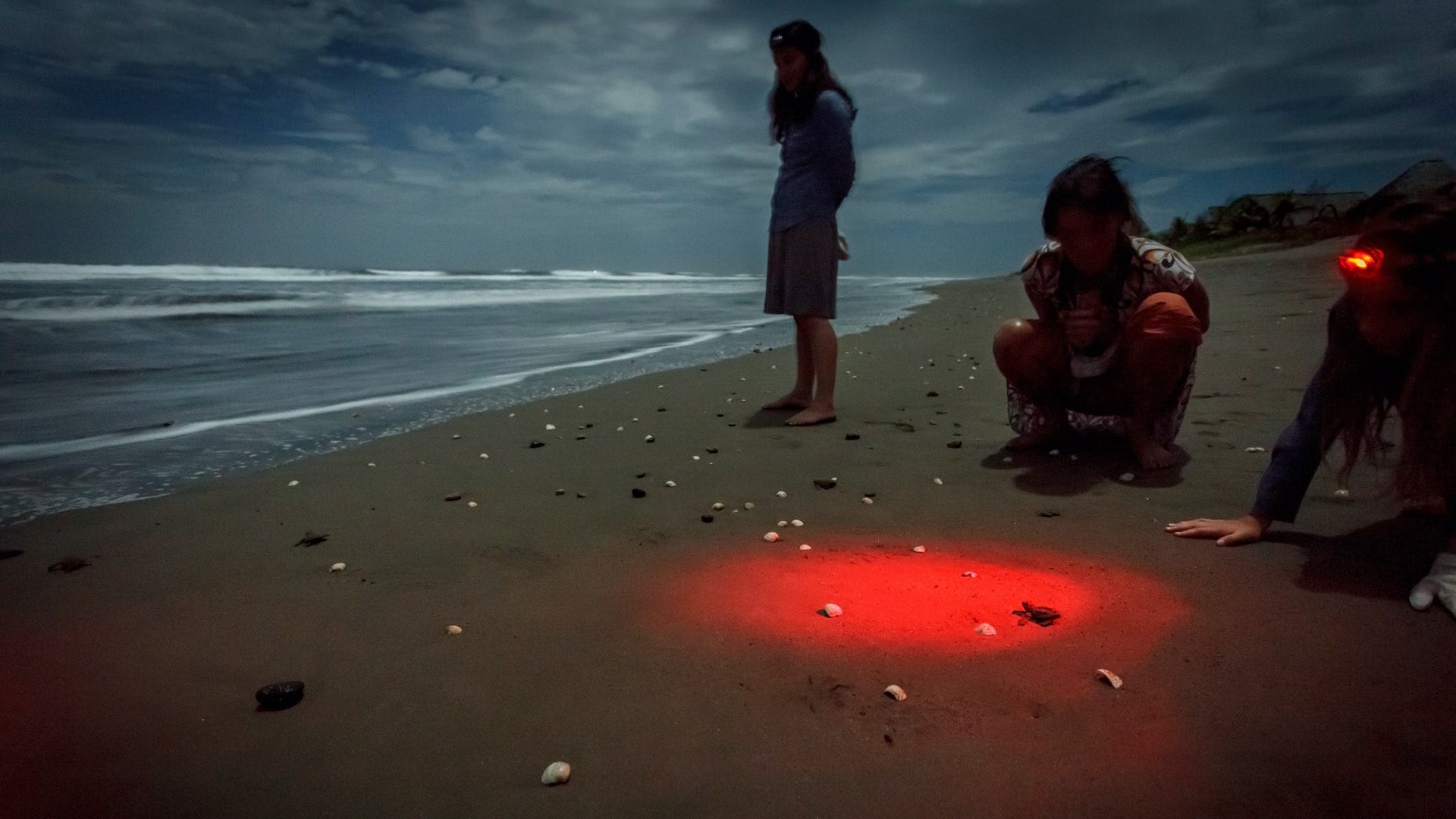 Hollywood Tricks And Location Technology Catch Poachers Of Sea Turtle Eggs