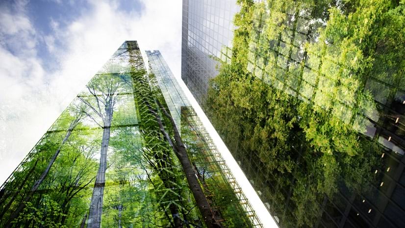 Office buildings with trees reflected in the glass