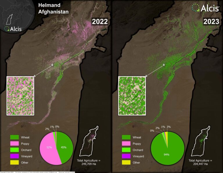 Map by Alcis comparing poppy production in 2022 to 2023 in the Helmand province of Afghanistan