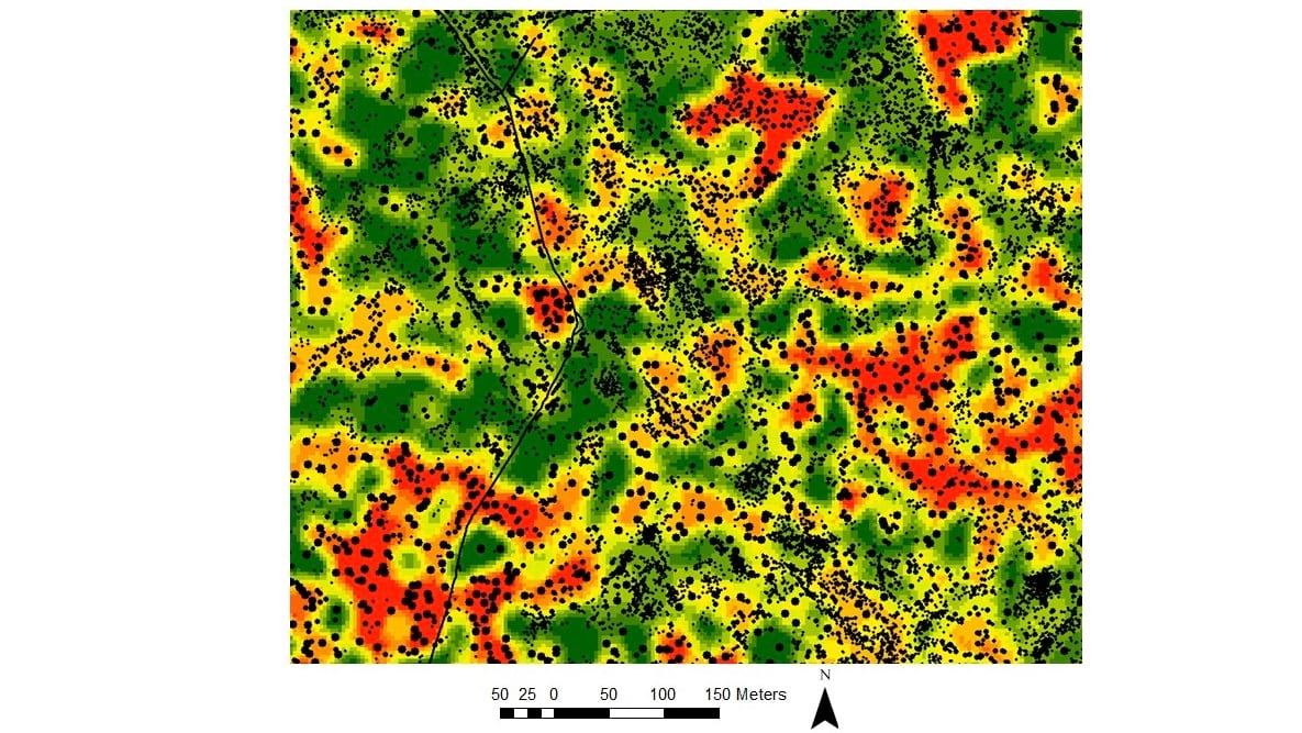 GIS was used to create this map of the Wade Tract that shows the locations and relative diameters of the trees