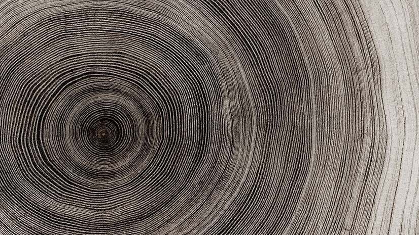 Tree rings signify the growth of enterprise software