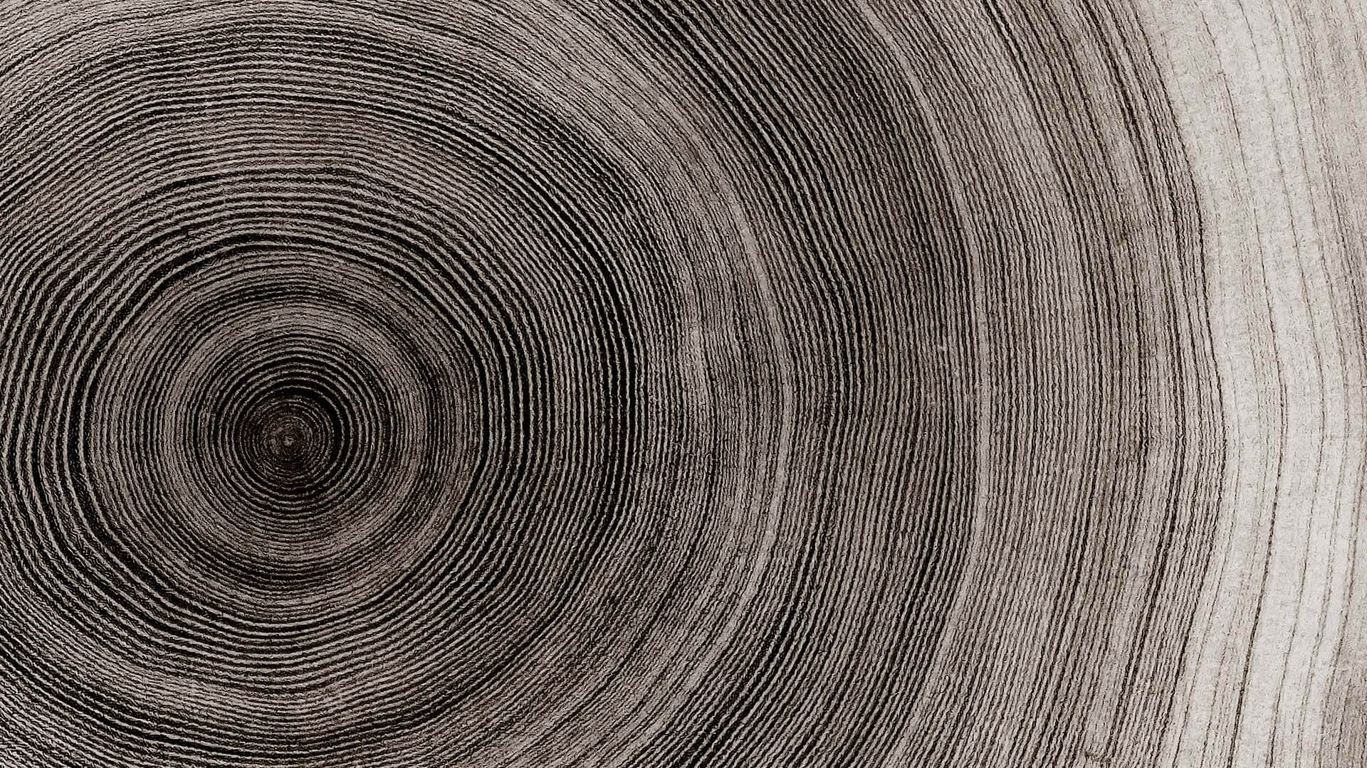 A cross section of tree rings represents the growth of enterprise software