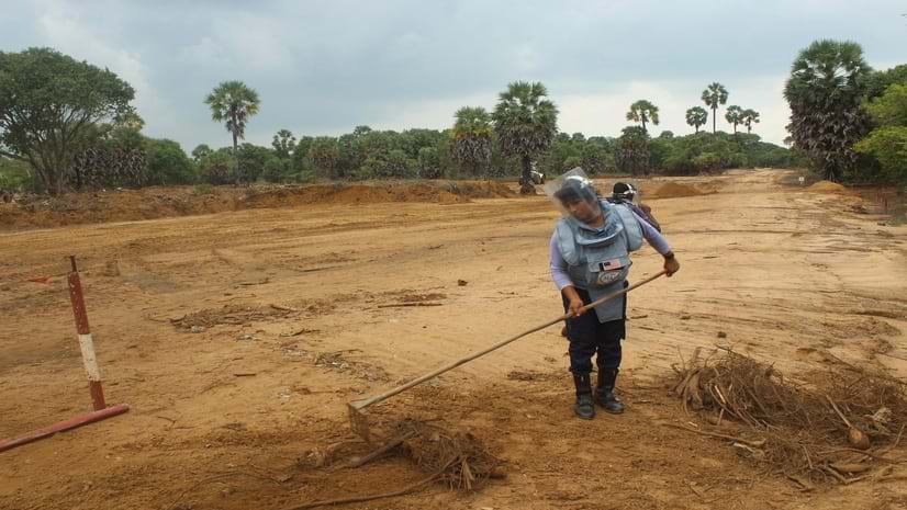 A worker wearing a clear protective mask rakes small branches into a pile in a cleared area.