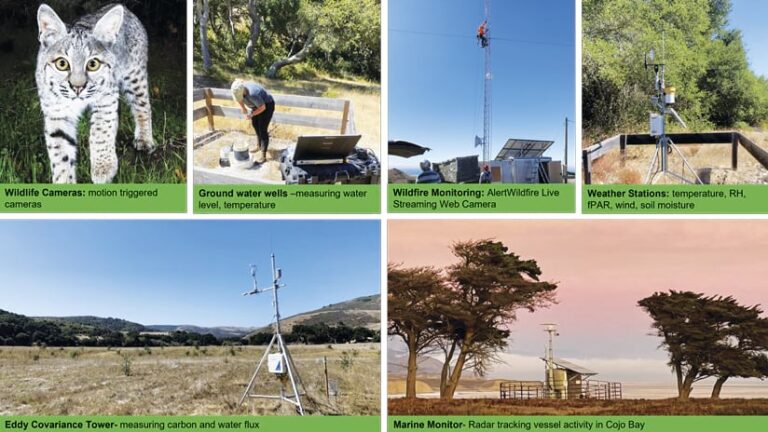 Six photos showing what data the sensors capture, including a wildlife camera that captured a bobcat, a person at a groundwater well sensor, a person at the top of a tower that has a wildfire monitoring web camera on it, a weather station, a radar sensor that captures marine vessel activity, and a sensor that monitors carbon and water flux