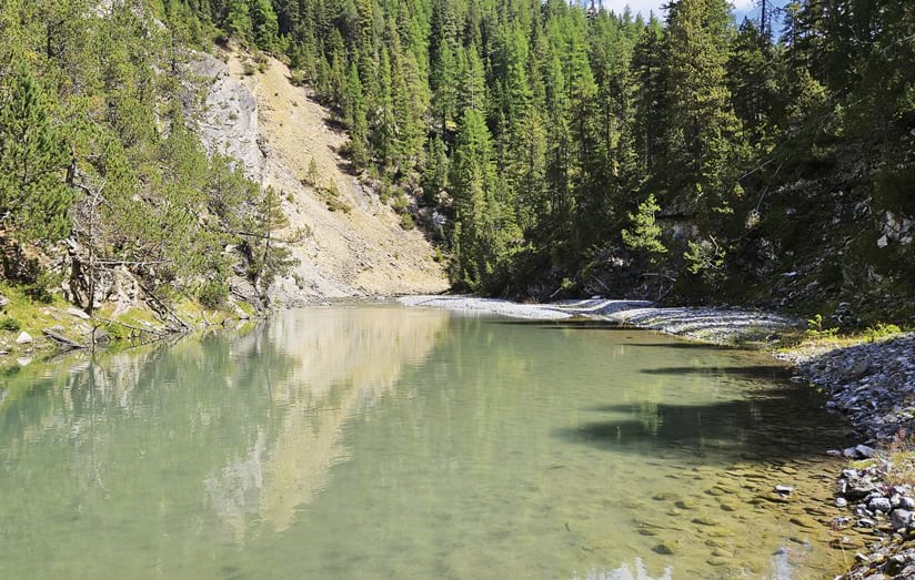 A river next to a hillside surrounded by pine trees