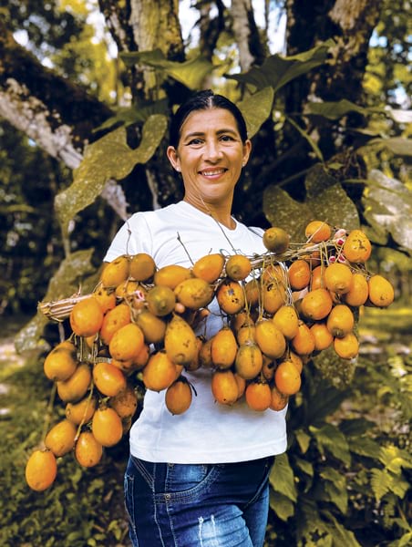 A woman in a white shirt and jeans stands in front of a tree with large leaves and holds up a branch filled with oval-shaped orange fruits