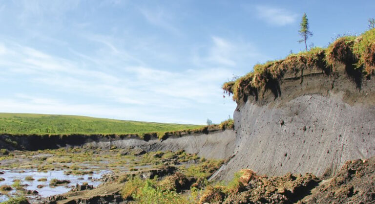 A grassy, swampy area where topsoil has fallen down a ledge