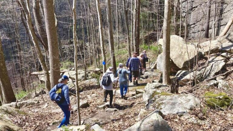 Hikers enjoy Needleseye Park trails