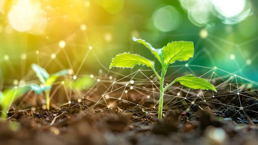 A photo shows seedlings rise from the ground, surrounded by a superimposed network of lines.