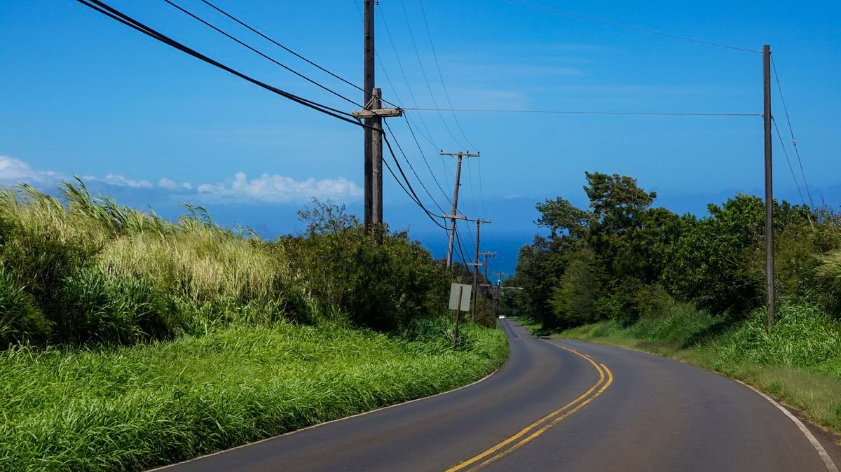 Rural powerlines in Hawaii