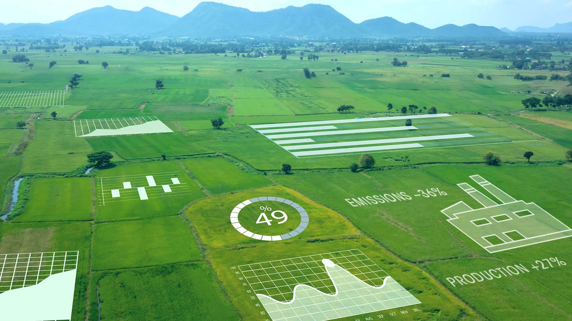 bp bioenergy uses GIS to help track operational metrics, as symbolized in this infographic