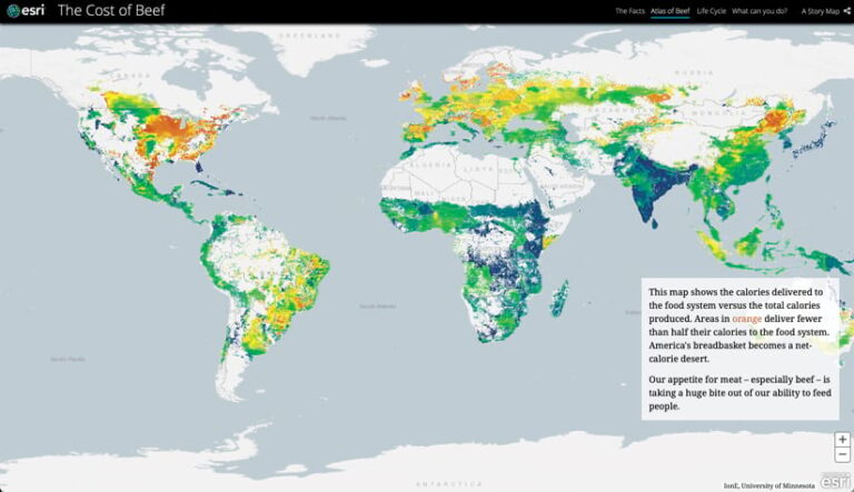 A world map illustrates the ratio of calories from beef production that reach the food system. Orange areas highlight regions where less than half the calories produced are consumed.