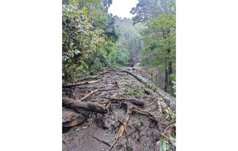 A muddy road covered in fallen trees, rocks, and debris. Lush green forest surrounds the road, showing signs of a recent heavy storm damage.