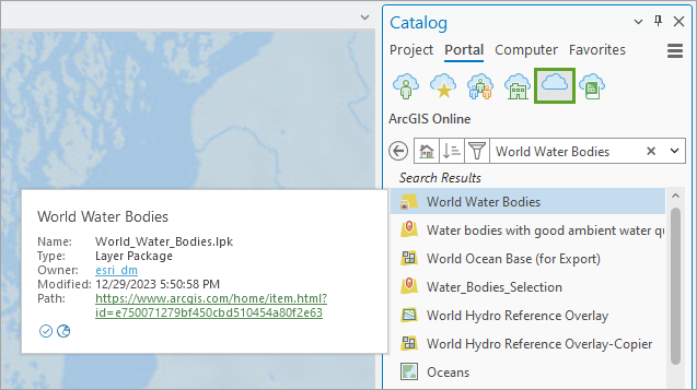 World Water Bodies layer in the Catalog pane