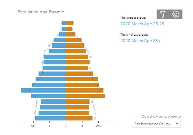 Infographics-population age pyramid chart