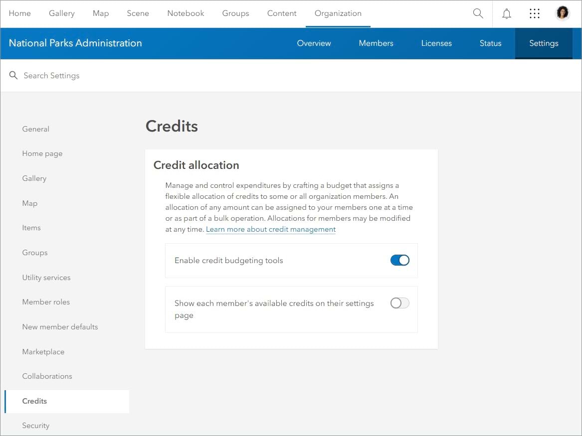 Credits setting with Enable credit budgeting tools toggle button turned on