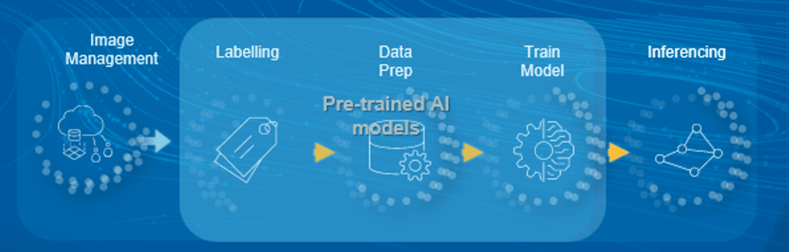 Workflow using Pretrained Models from Living Atlas