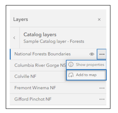 We've added a button so you can add a layer directly from the catalog to your map.