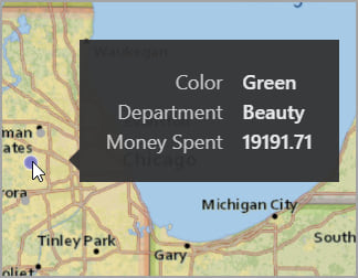 ArcGIS for Power BI tooltip