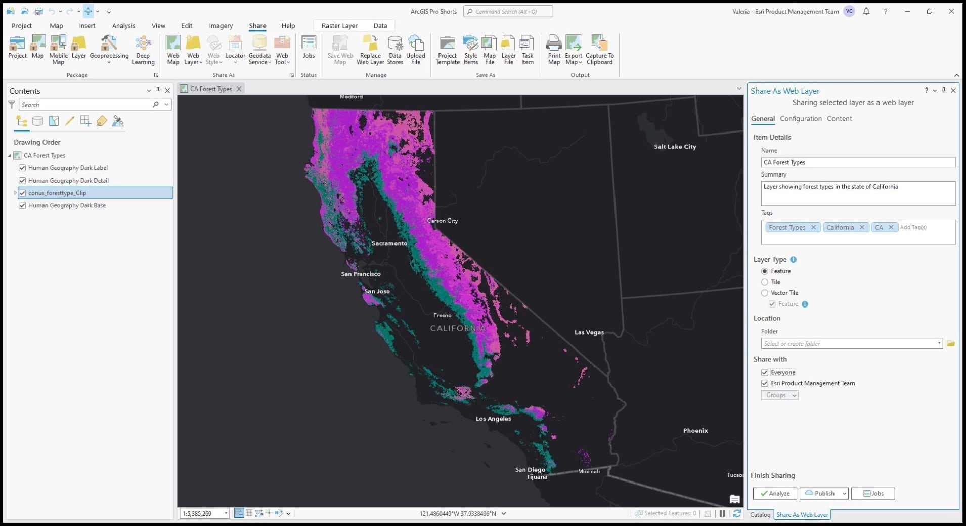 Preview of the map in ArcGIS Pro