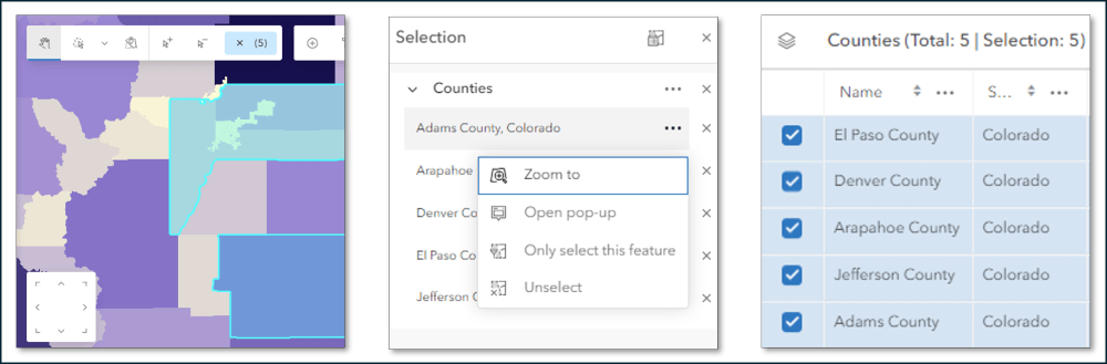 View selected features on the map, in the Selection pane, or using the table.