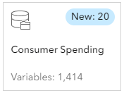 Consumer Spending Data Set