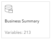 Business Summary Data Set