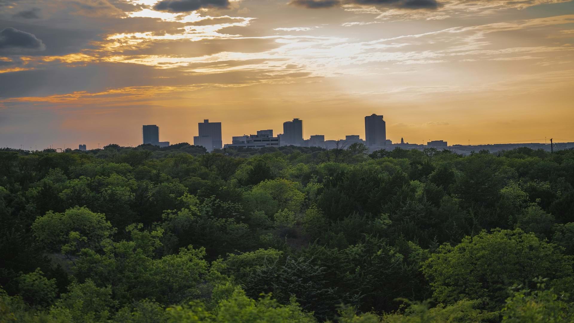 Tarrant County College Uses Esri's Community Maps Editor to Enrich Their Community