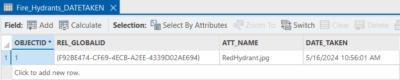 Output geodatabase table with DATE_TAKEN field