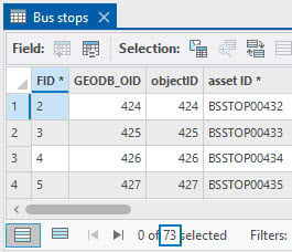 73 features present after applying definition query