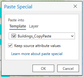 Paste Special Pane