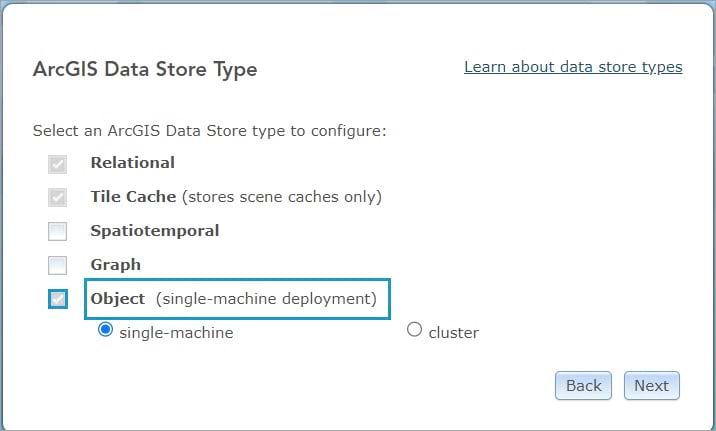 Check "object" as the data store type