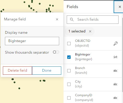 Fieldspane in Map Viewer that allows users to manage the fields displayed. In this example, the "BigInteger" field is selected with the option to edit the display name and hit done, or delete.