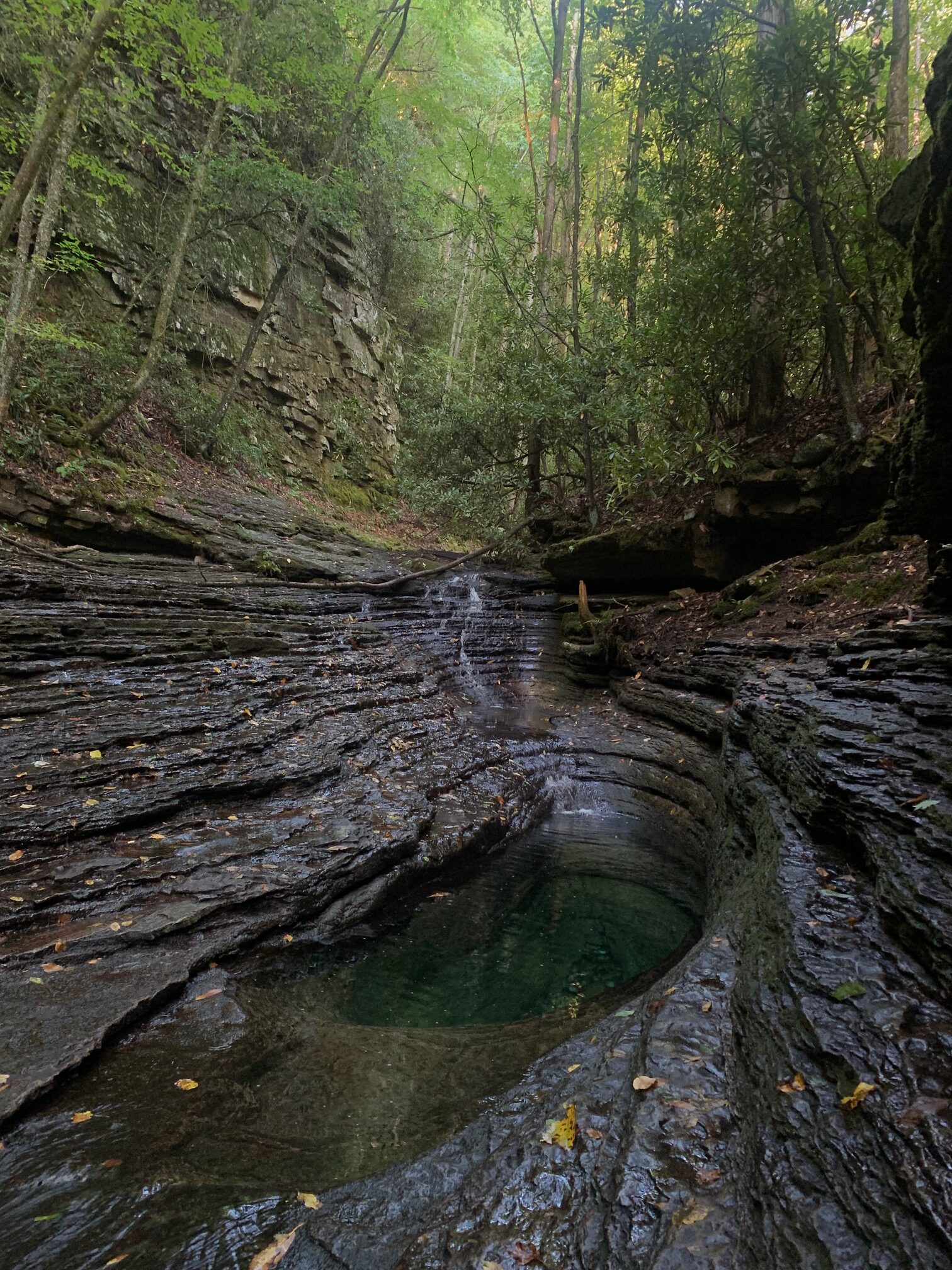 The Devil's Bathtub in Duffield, VA