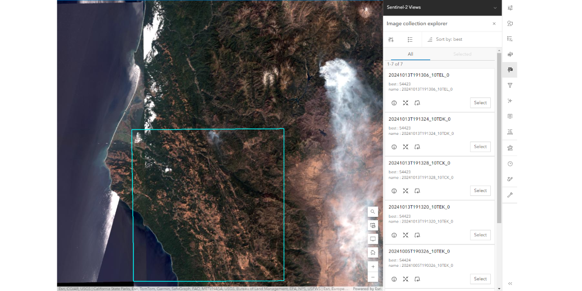 Image Collection Explorer in ArcGIS Image Server