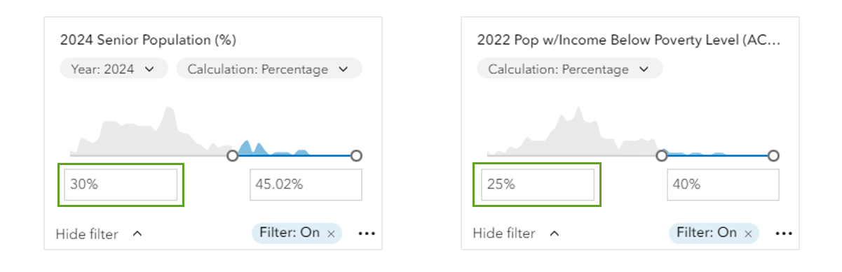 Smart map search filters