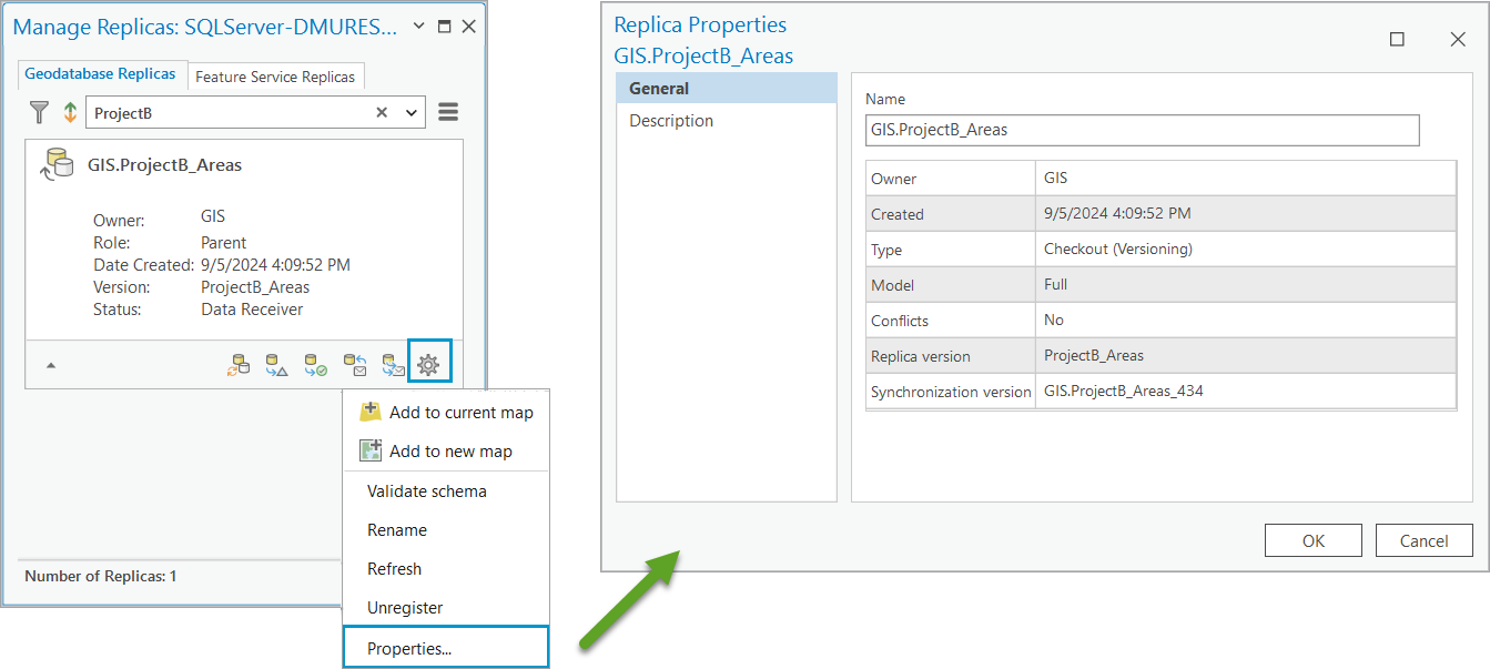 The Replica Properties option