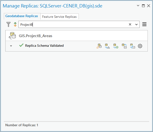 The Validate Schema option