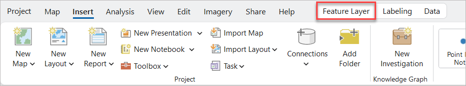 Click the Feature Layer tab