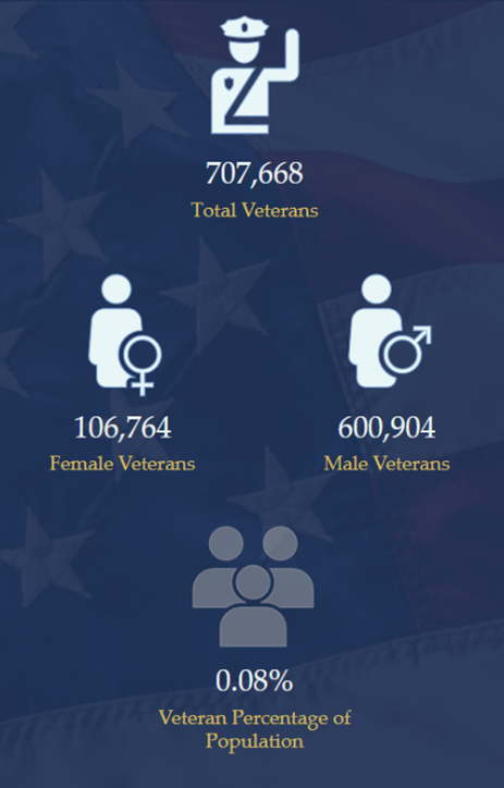 Infographic panel illustrating veteran population.