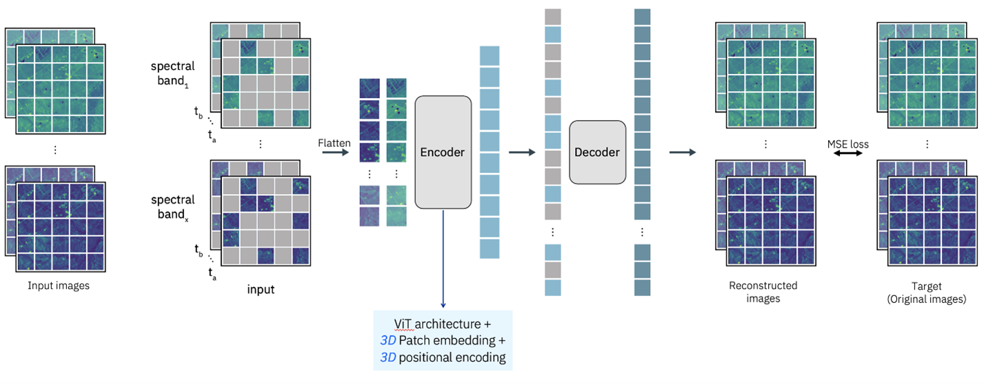 ViT architecture + 3D Patch embedding + 3D positional encoding source: https://huggingface.co/ibm-nasa-geospatial/Prithvi-100M on 9/16/2024