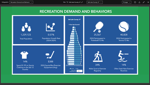 The custom infographic generates.