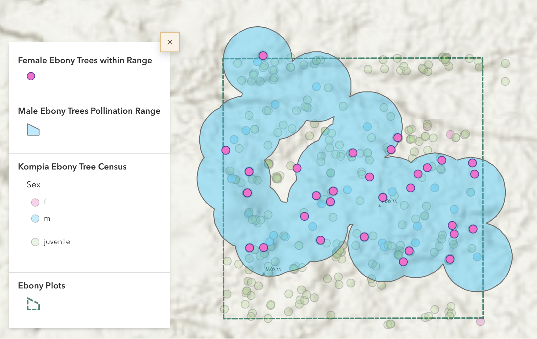 A screenshot of a map depicting one plot of ebony trees, showing the pollination range of the trees and which trees are male and female.