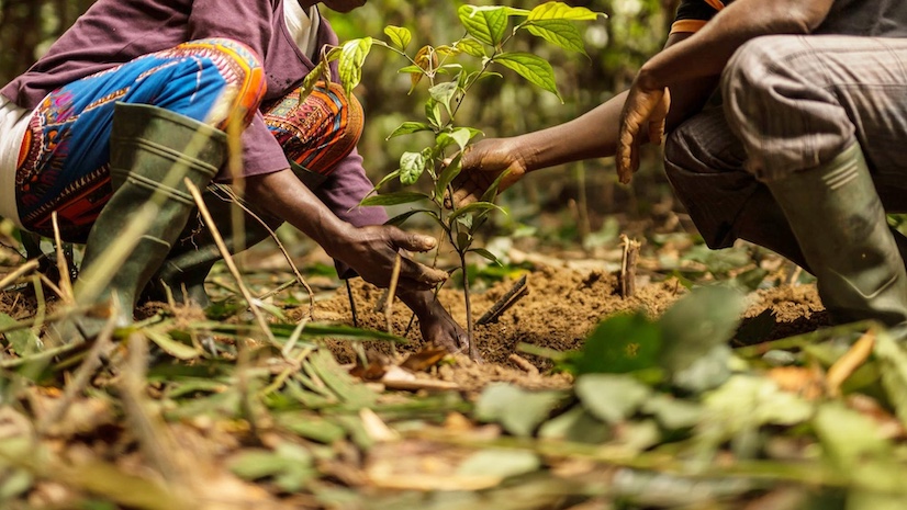 Inside the inspirational partnership behind the Ebony Project