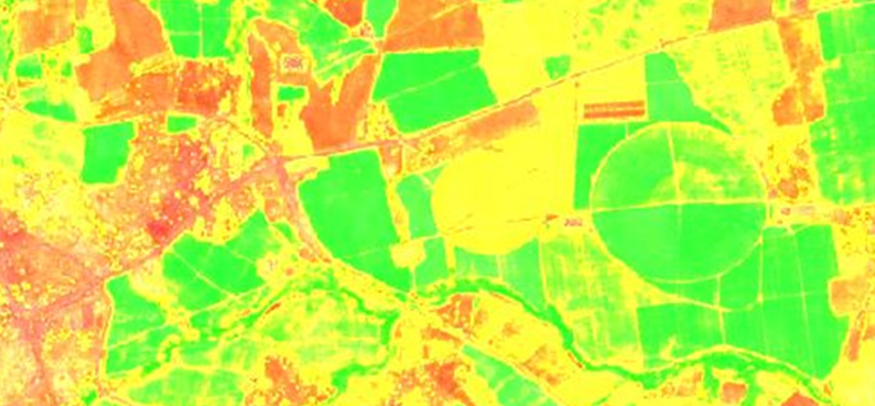 Sugarcane NDVI